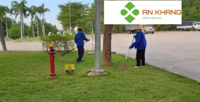 Chăm Sóc Cảnh Quan Tại KCN Bình Dương