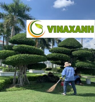 Chăm Sóc Cây Xanh Tại Quận 5 Hồ Chí Minh