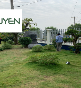 Giới Thiệu Dịch Vụ Chăm Sóc Cây Cảnh Tại Châu Thành Long An