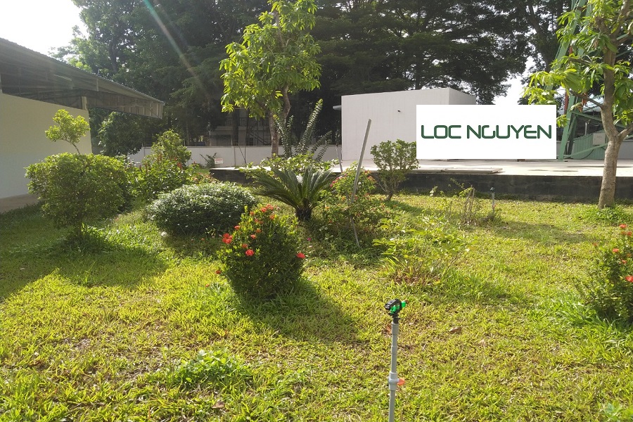 Dịch Vụ Chăm Sóc Cây Xanh Tại KCN Bến Lức Long An