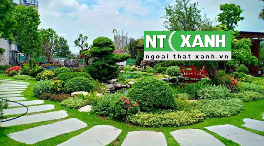 Giới Thiệu Dịch Vụ Trồng Cây Cảnh Tại Long An