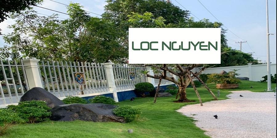 Thiết Kế và Thi Công Công Trình Cây Xanh Tại Long An
