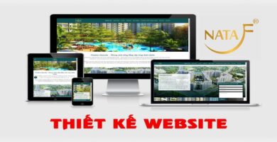 Thiết kế web tại Tây Ninh