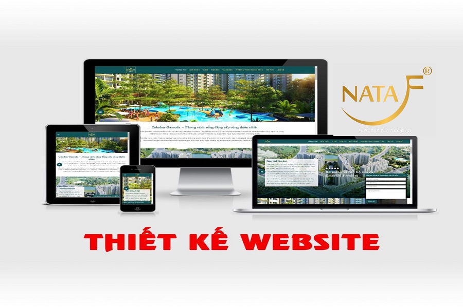Thiết kế web tại Tây Ninh