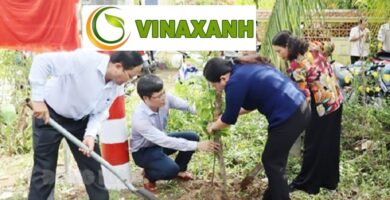 Trồng cây xanh tại Tân BìnhTP.HCM