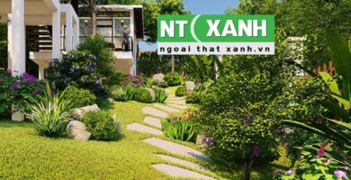 Dịch vụ trồng cây cảnh tại Châu Thành Tây Ninh
