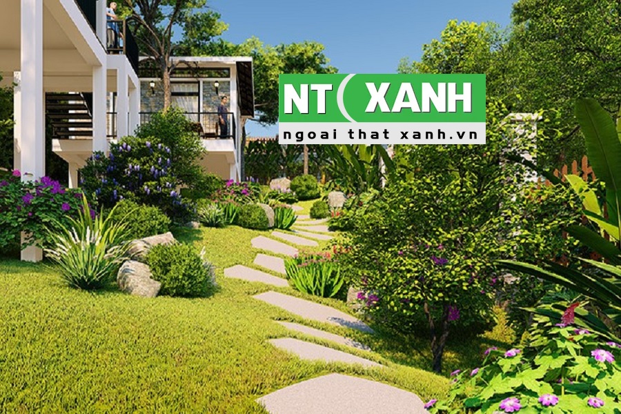 Dịch vụ trồng cây cảnh tại Châu Thành Tây Ninh