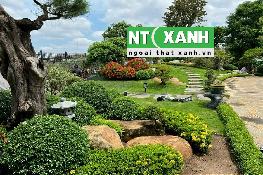 Giới Thiệu Dịch vụ trồng cây cảnh tại Thủ Dầu Một Bình Dương