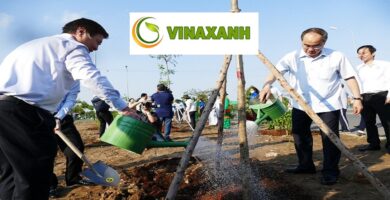 Trồng Cây Xanh Tại TPHCM