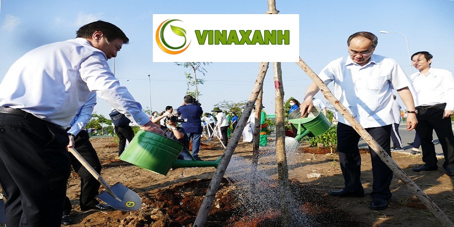 Trồng Cây Xanh Tại TPHCM