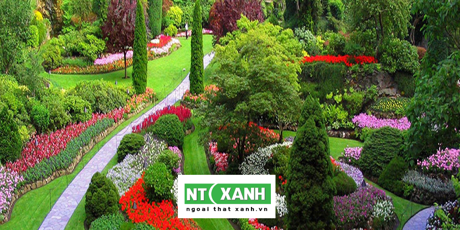 Dịch Vụ Trồng Cây Cảnh Tại Long An
