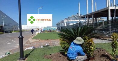 Dịch Vụ Trồng Cây Xanh Tại KCN Bình Dương