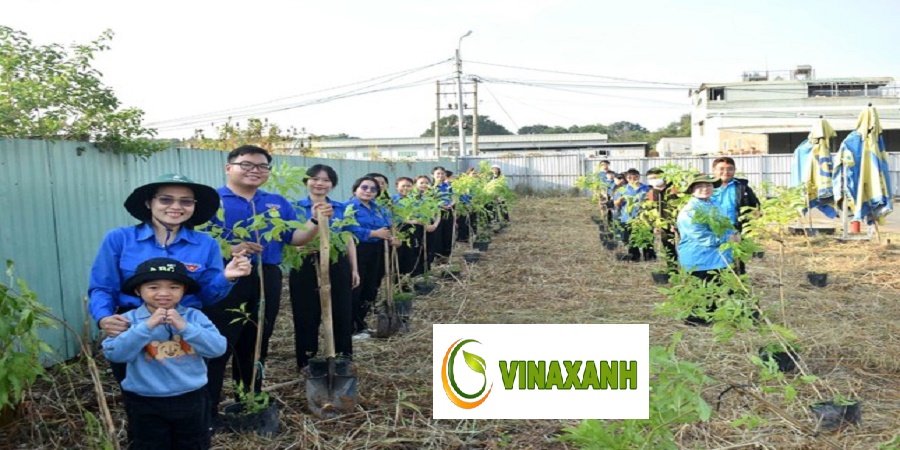 Trồng Cây Xanh Tại TP.HCM