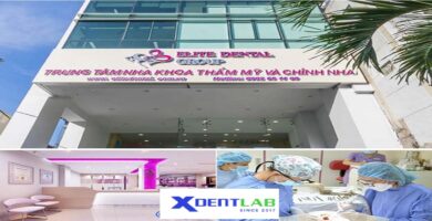Vietnam Dental Laboratories District 1 Ho Chi Minh City