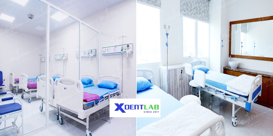 Vietnam Dental Laboratories District 6 Ho Chi Minh City