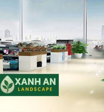 Cho Thuê Cây Cảnh Văn Phòng Tân Uyên