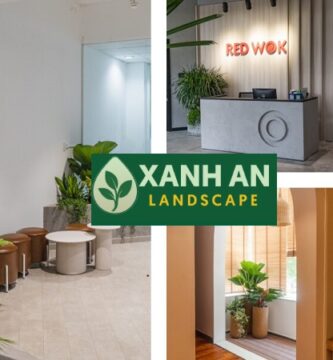 Cho Thuê Cây Cảnh Văn Phòng Thuận An