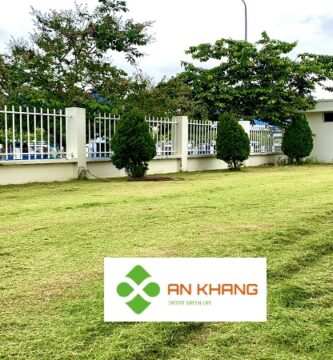 Dịch Vụ Cắt Cỏ KCN Tại Bình Dương