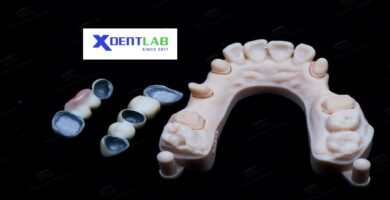 Vietnam Dental Laboratory District 6 Ho Chi Minh