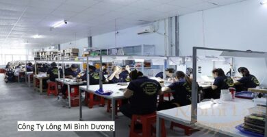 Công Ty Lông Mi Bình Dương