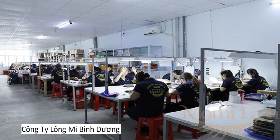Công Ty Lông Mi Bình Dương