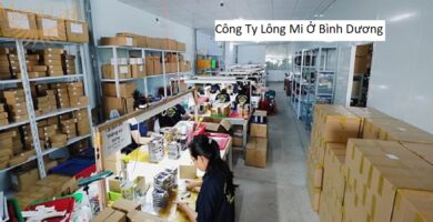 Công Ty Lông Mi Ở Bình Dương