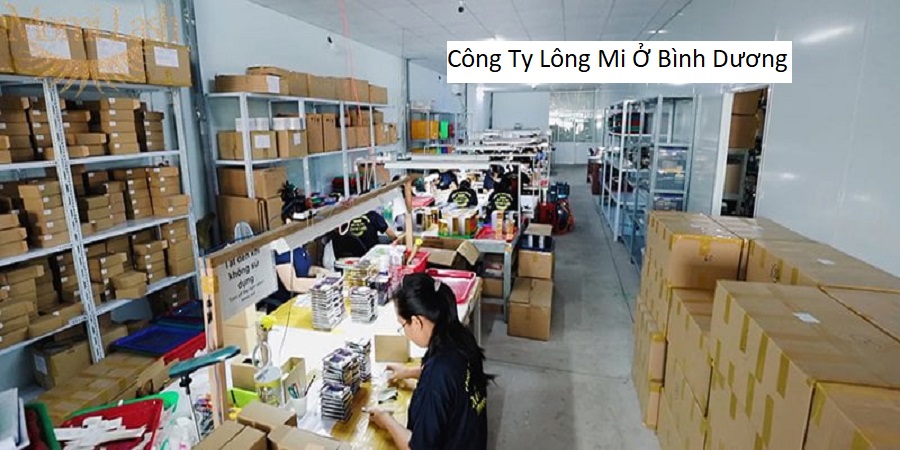 Công Ty Lông Mi Ở Bình Dương