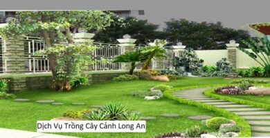 Dịch Vụ Trồng Cây Cảnh Long An