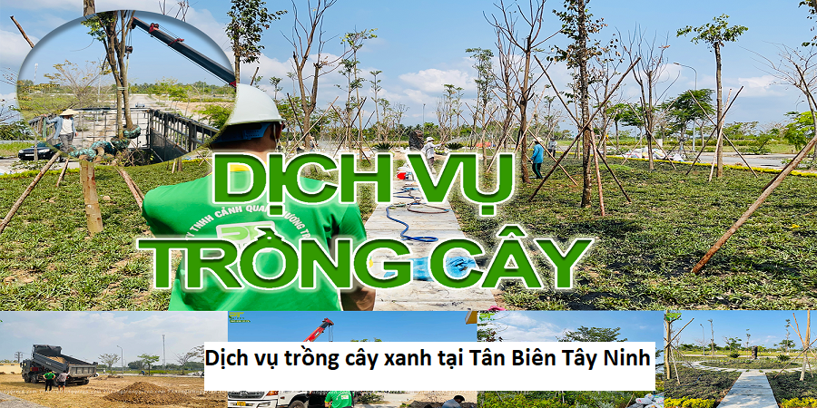 Dịch vụ trồng cây xanh tại Tân Biên Tây Ninh