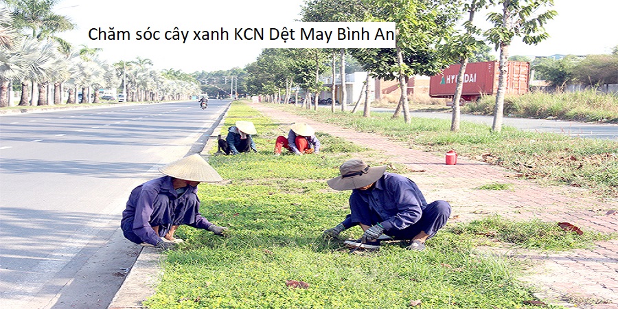 Chăm sóc cây xanh KCN Dệt May Bình An