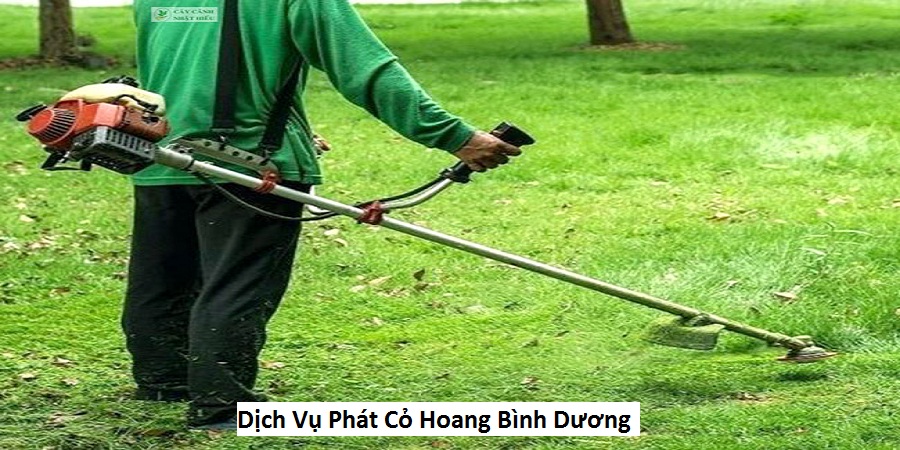 Dịch Vụ Phát Cỏ Hoang Bình Dương